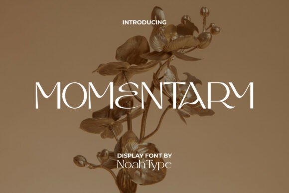 Momentary Font: Elevating Campaign Visuals